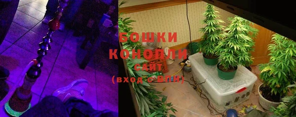 бошки Ладушкин