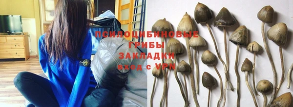 крисы Лихославль