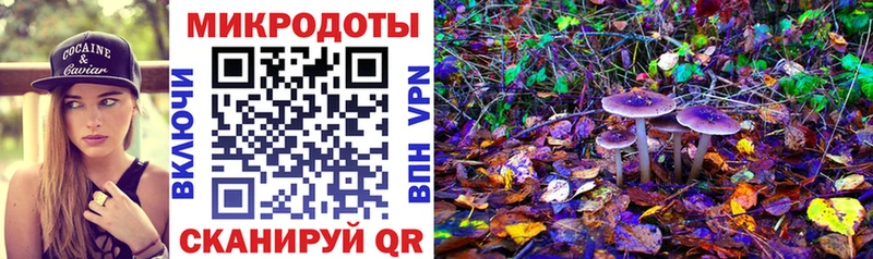 продажа наркотиков  Сураж  Псилоцибиновые грибы ЛСД 