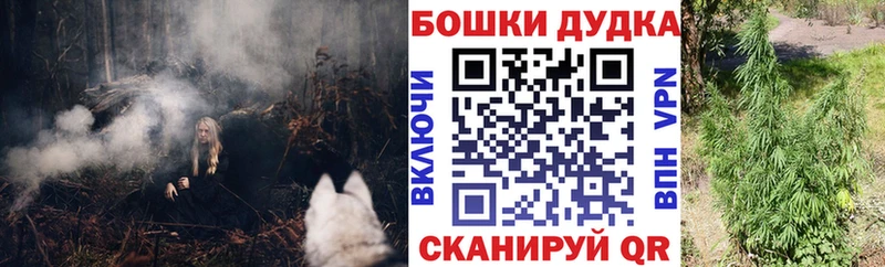 Канабис индика  купить  сайты  Сураж 